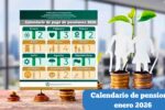 Argentina: Calendario de pensiones enero 2026 – quién cobra, cuánto y cómo inscribirse